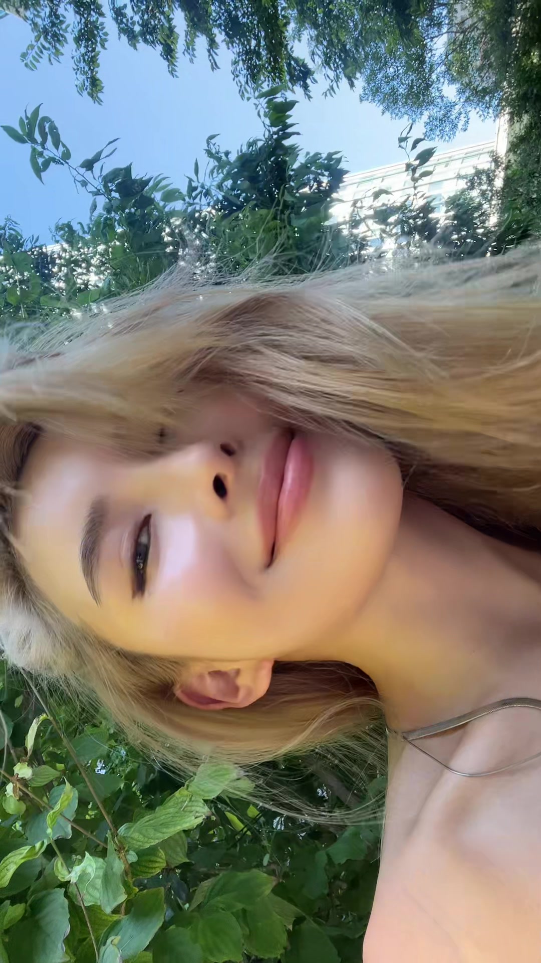 @mirin