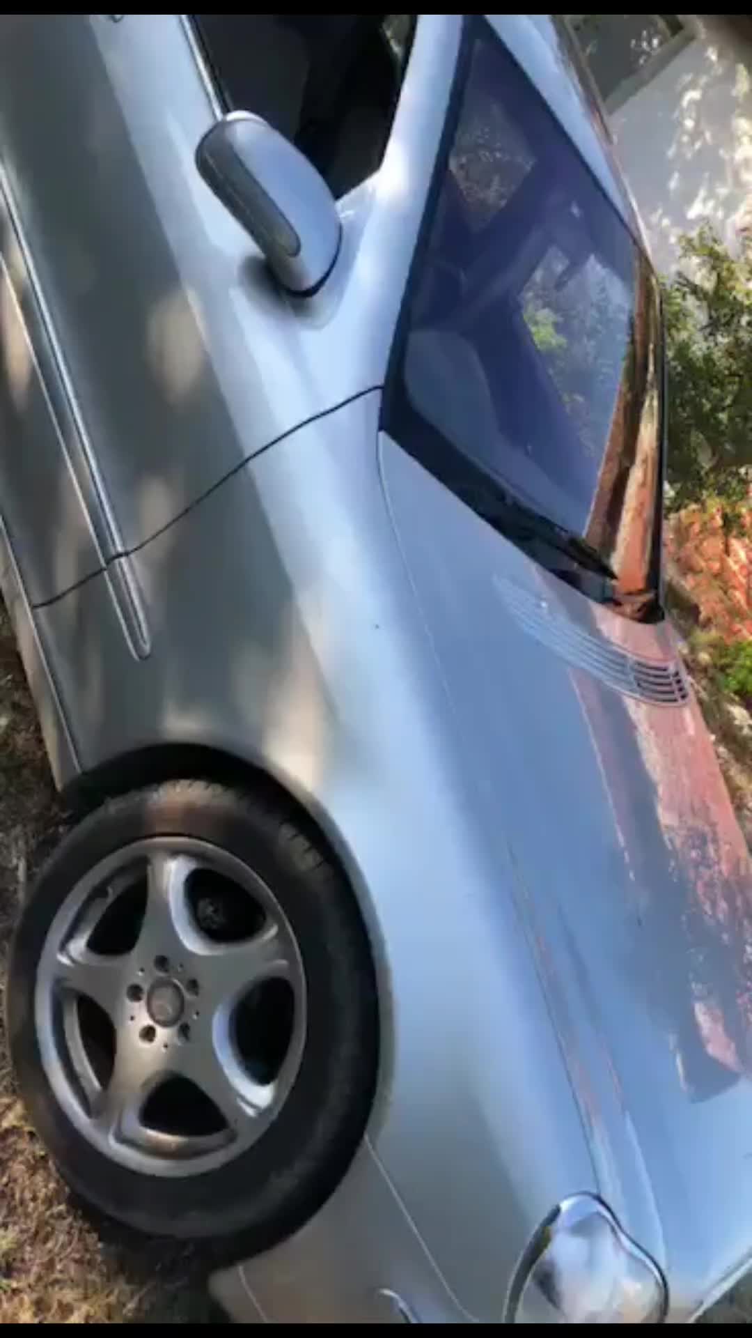 @kobrataa775
