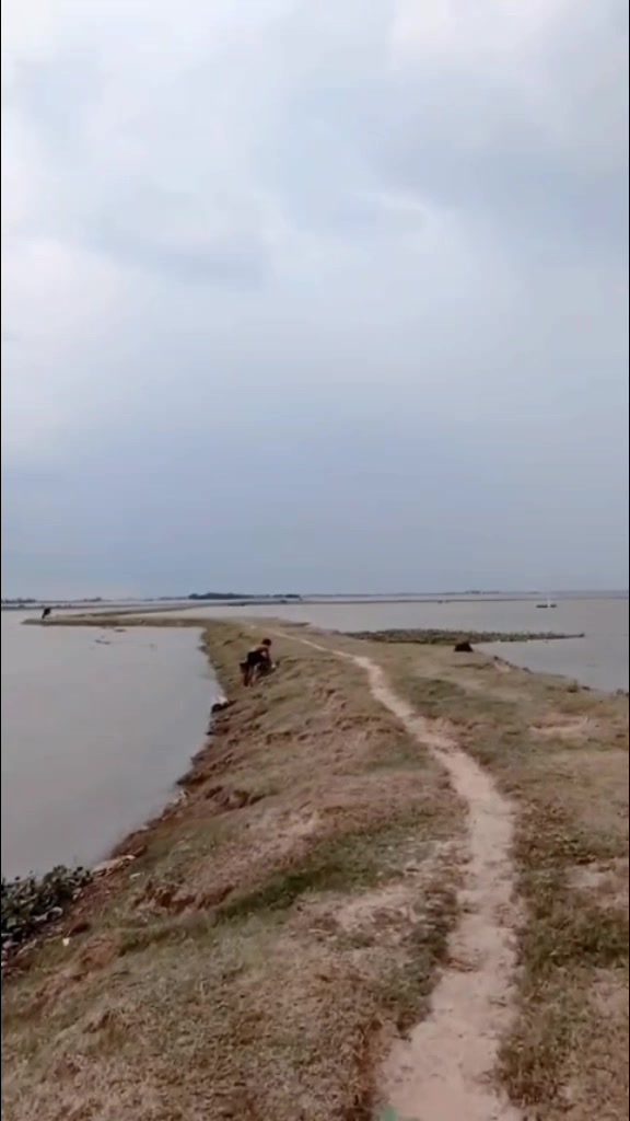 @সুখ পাখি