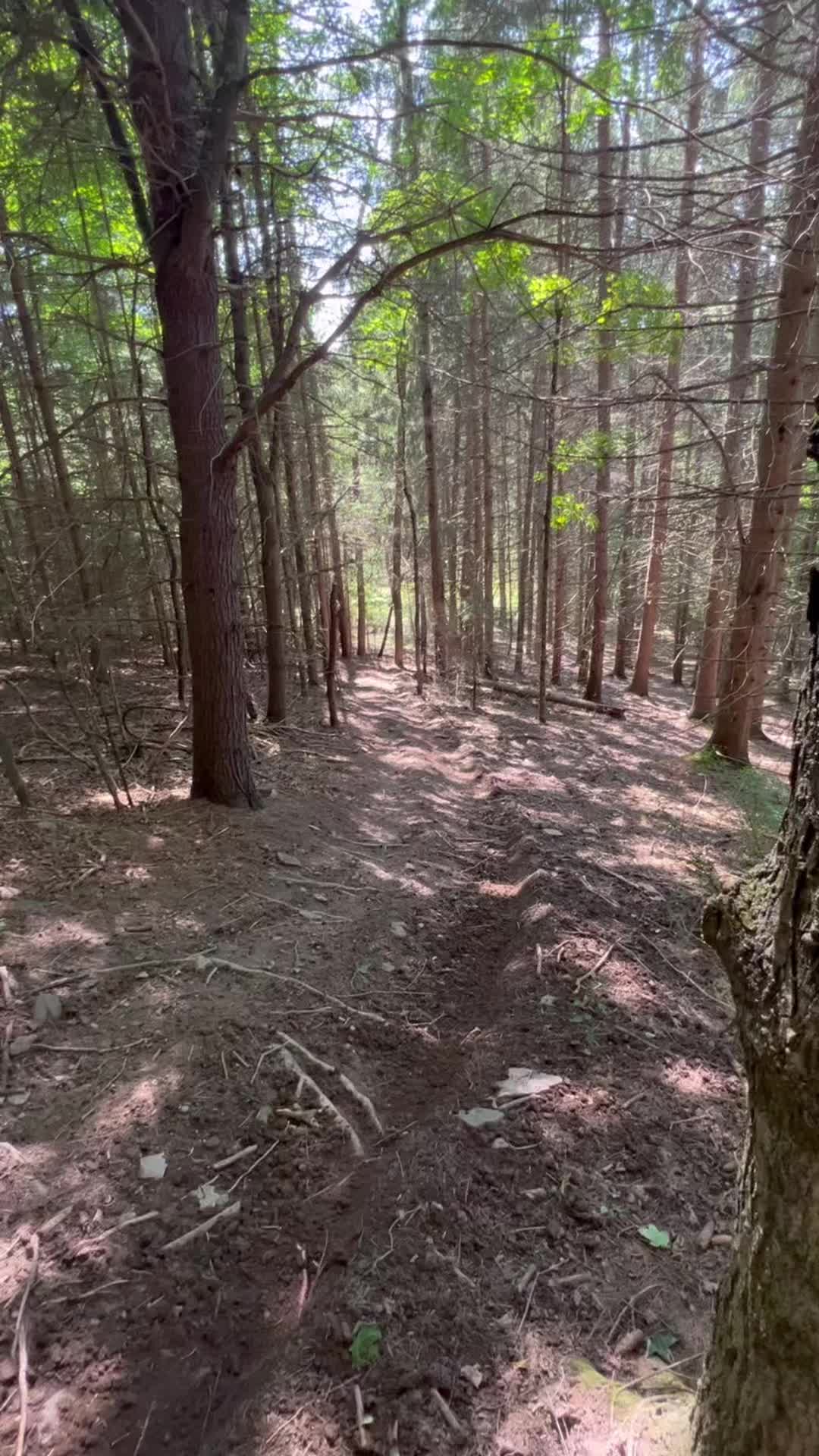 @zachsouders77