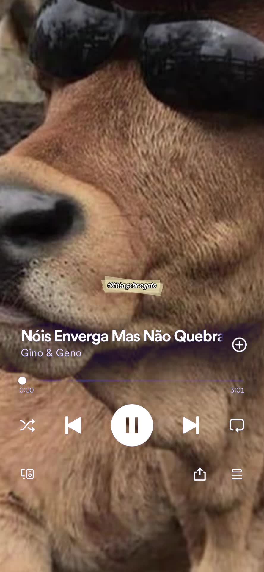 @Thiago Bragato