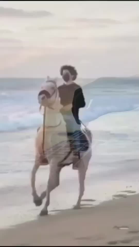 @احـمـدالحـربــﮯ𓍼ོ 🇦🇪