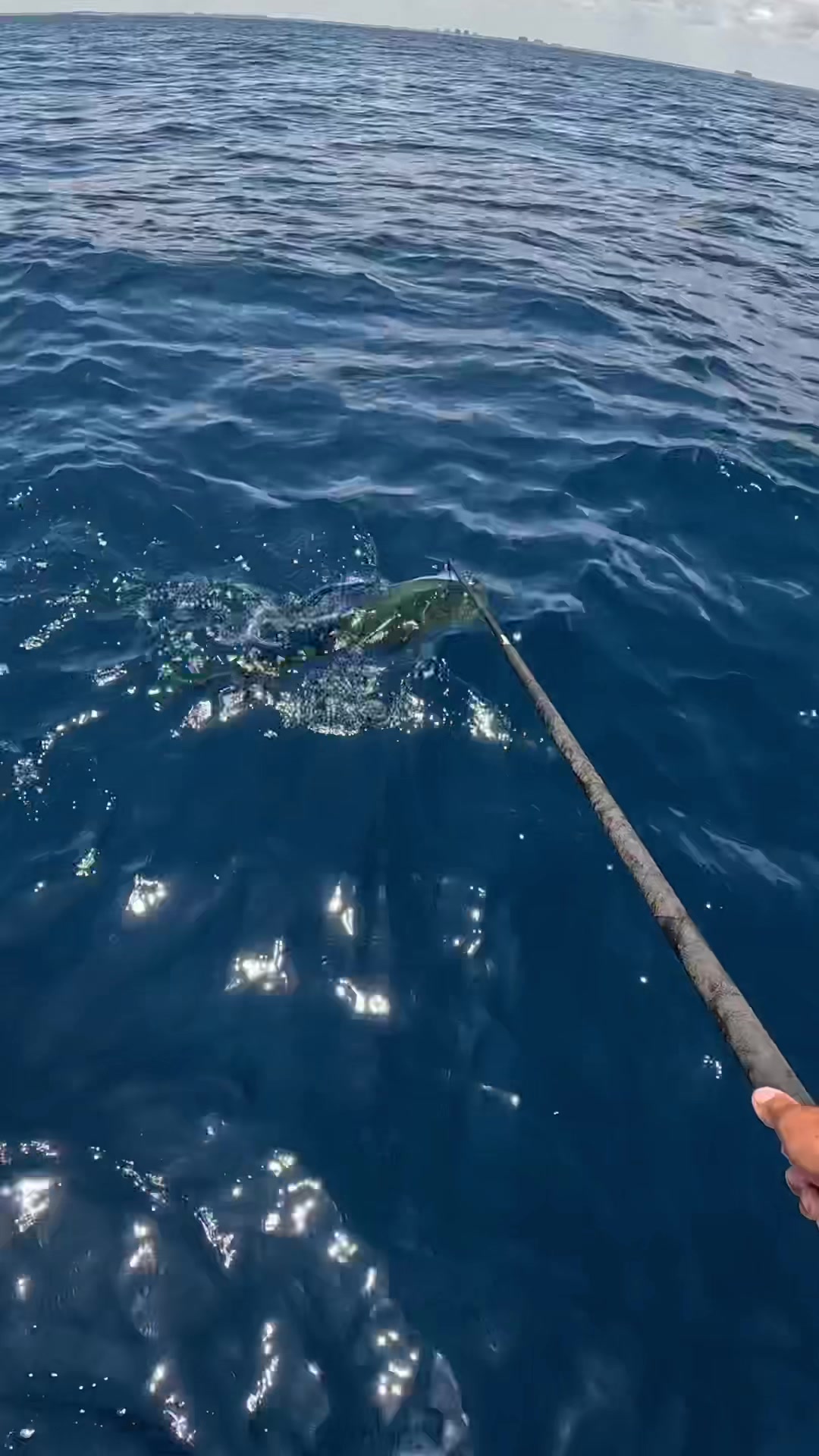 @Dripped Out Fishing Co