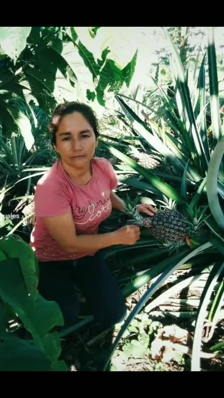 @👩🏻&zwj;🏫MadelinRuales🦆🎯🦙🍍🦁