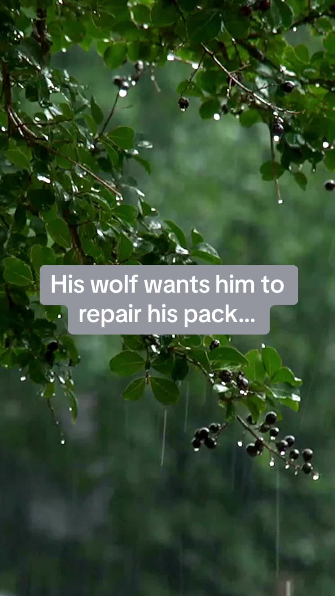 @Jennifer Snyder