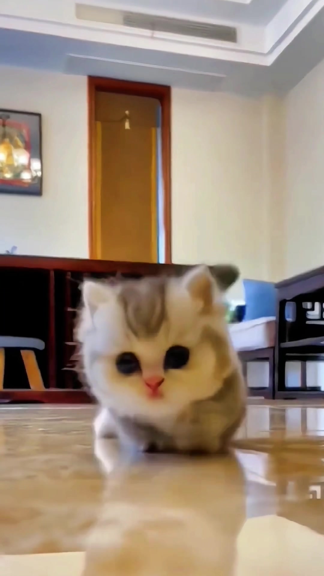 @Cute_babys
