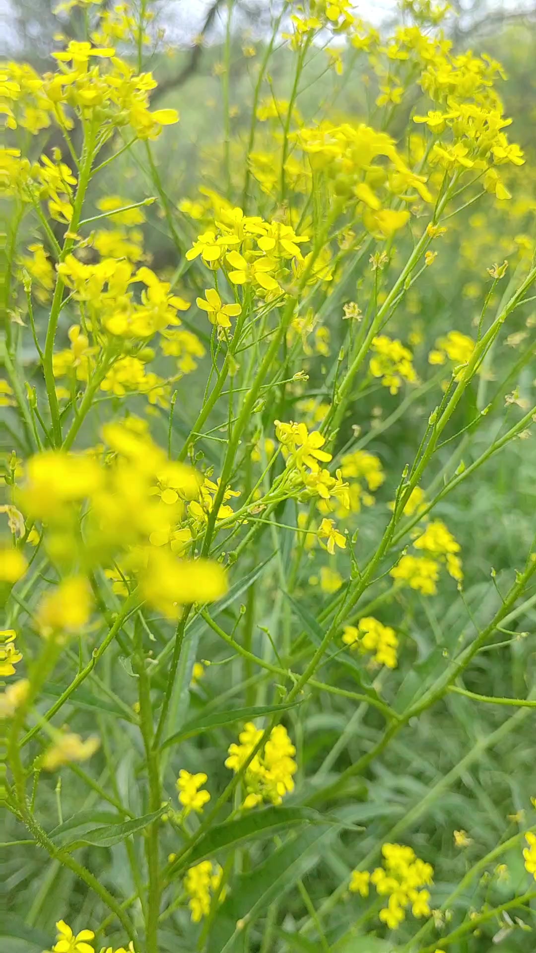 @Ольга