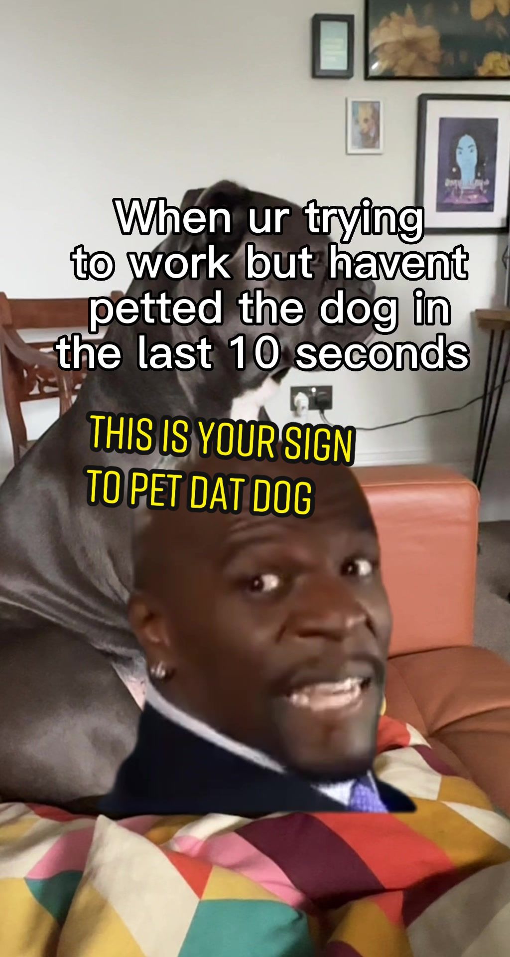@The Doggy Baking Co