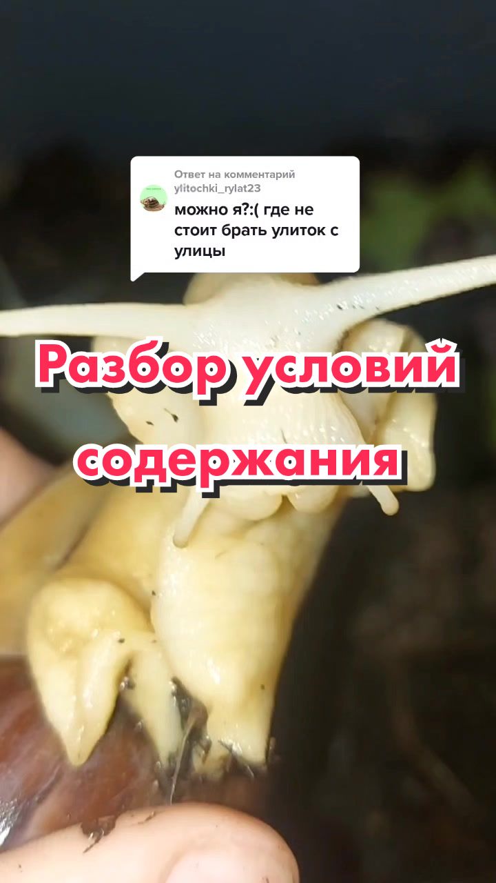 @🐌Яся Ясень🐌