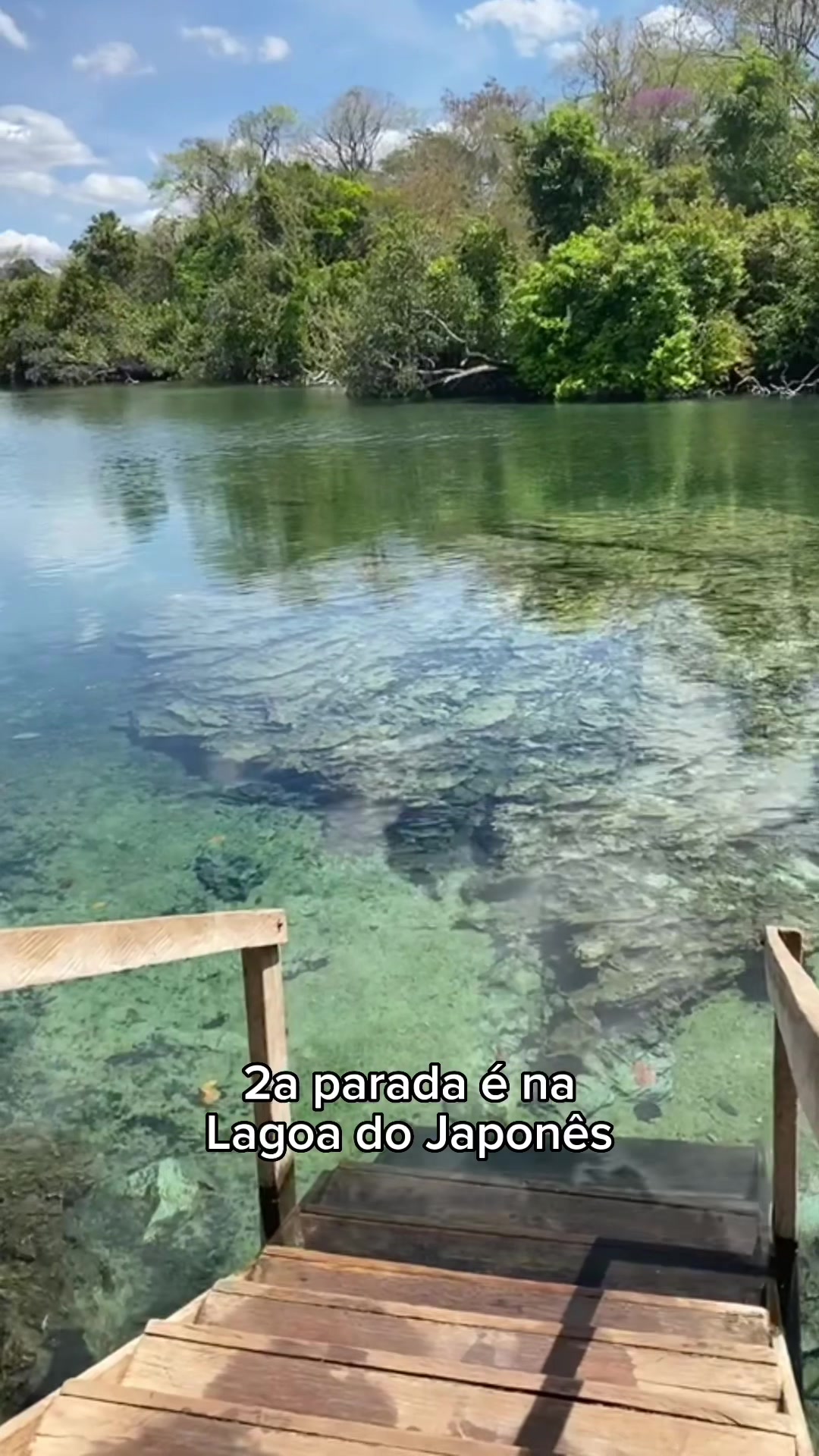 @Lais F. Kabbaz