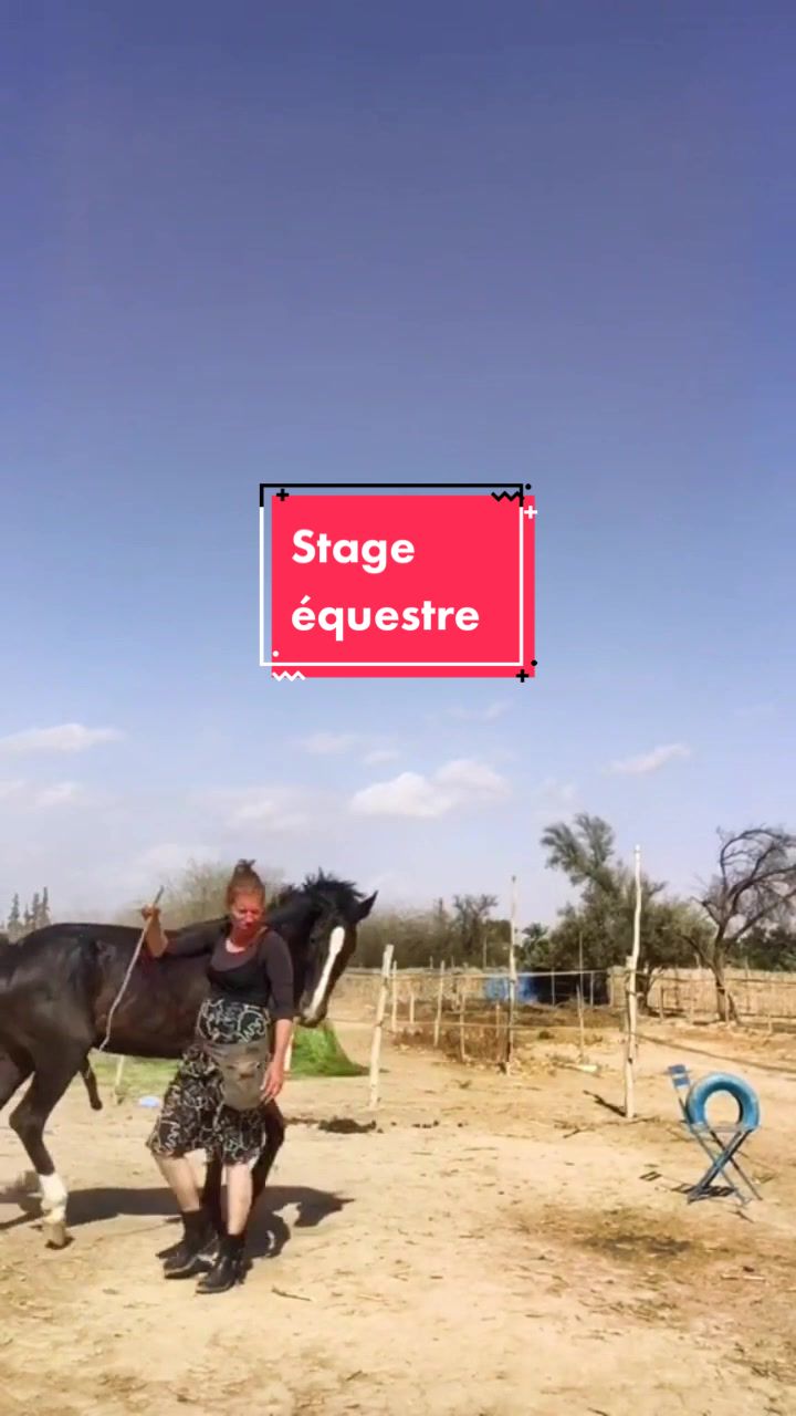 @Les&ensp;&eacute;curies&ensp;de&ensp;la&ensp;roseraie