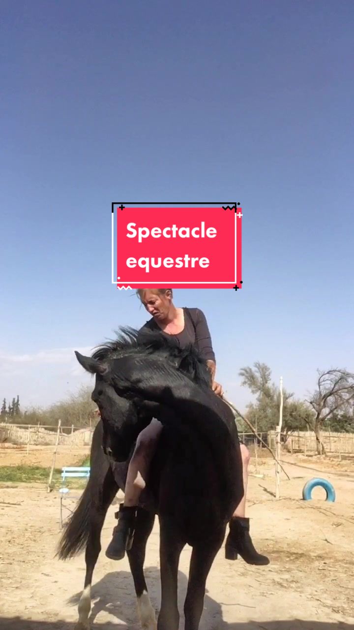 @Les&ensp;&eacute;curies&ensp;de&ensp;la&ensp;roseraie