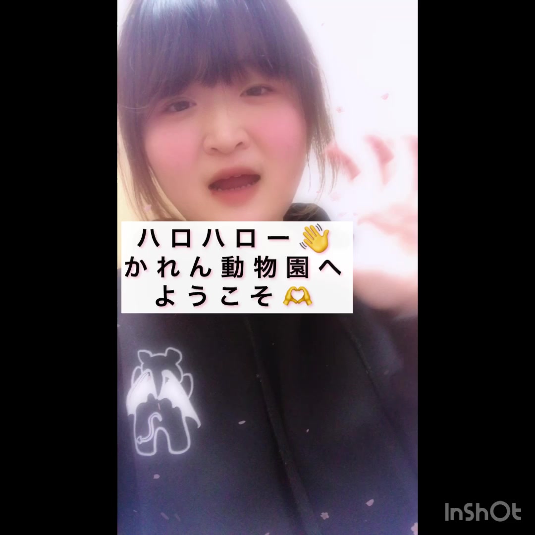 @風〇店員Tの意味不明ちゃんねる🐰🏍