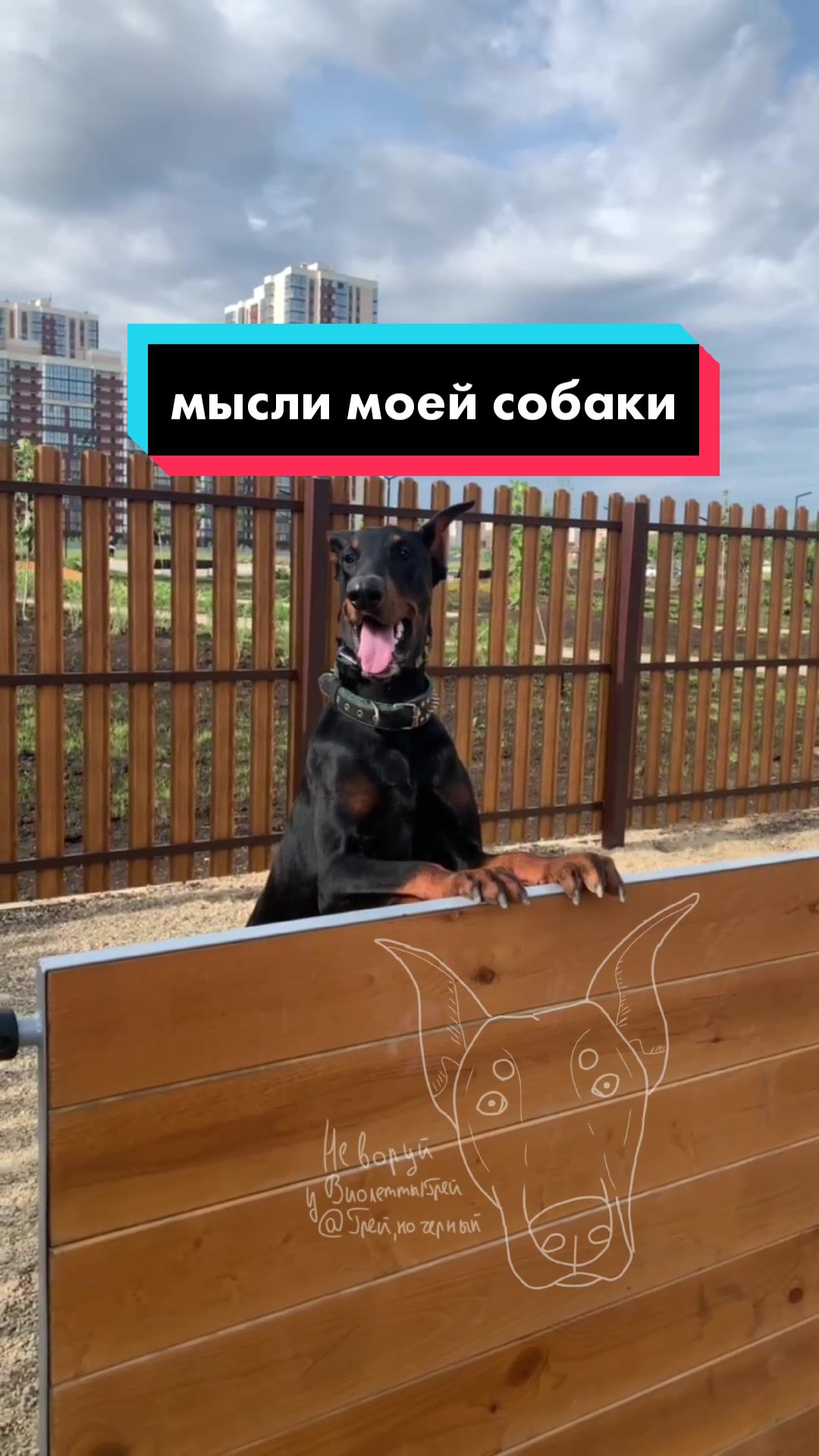 @Грей, но чёрный