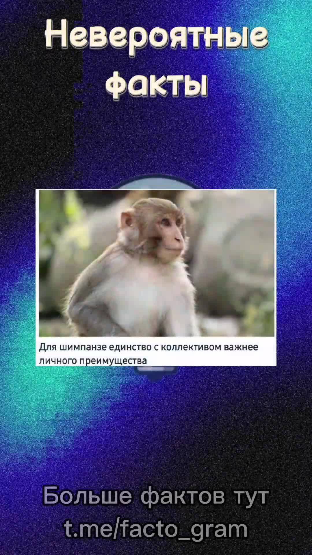 @вордлииииии