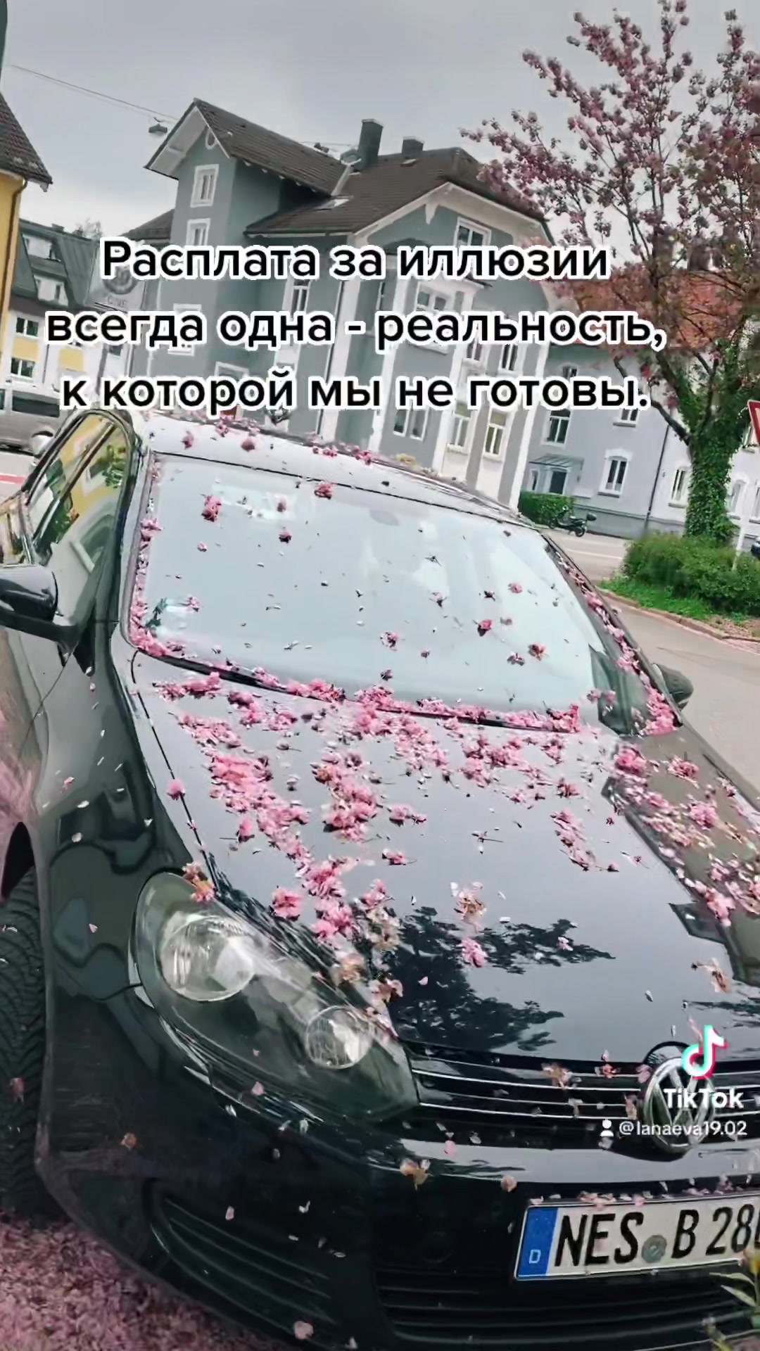@Svetlana