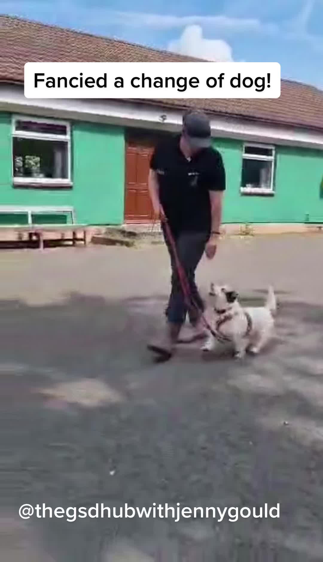 @TheGSDhubwithjennygould