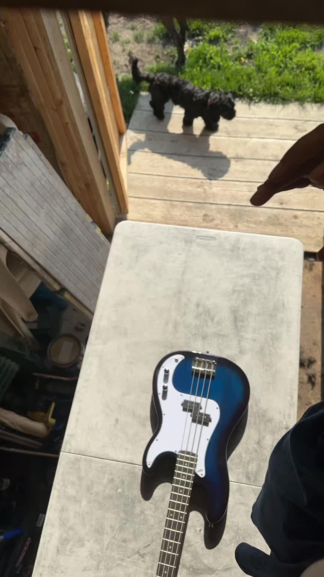 @bassically_ken