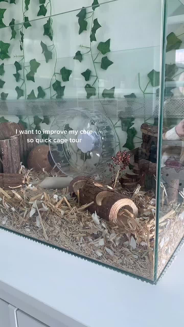 @gerbils