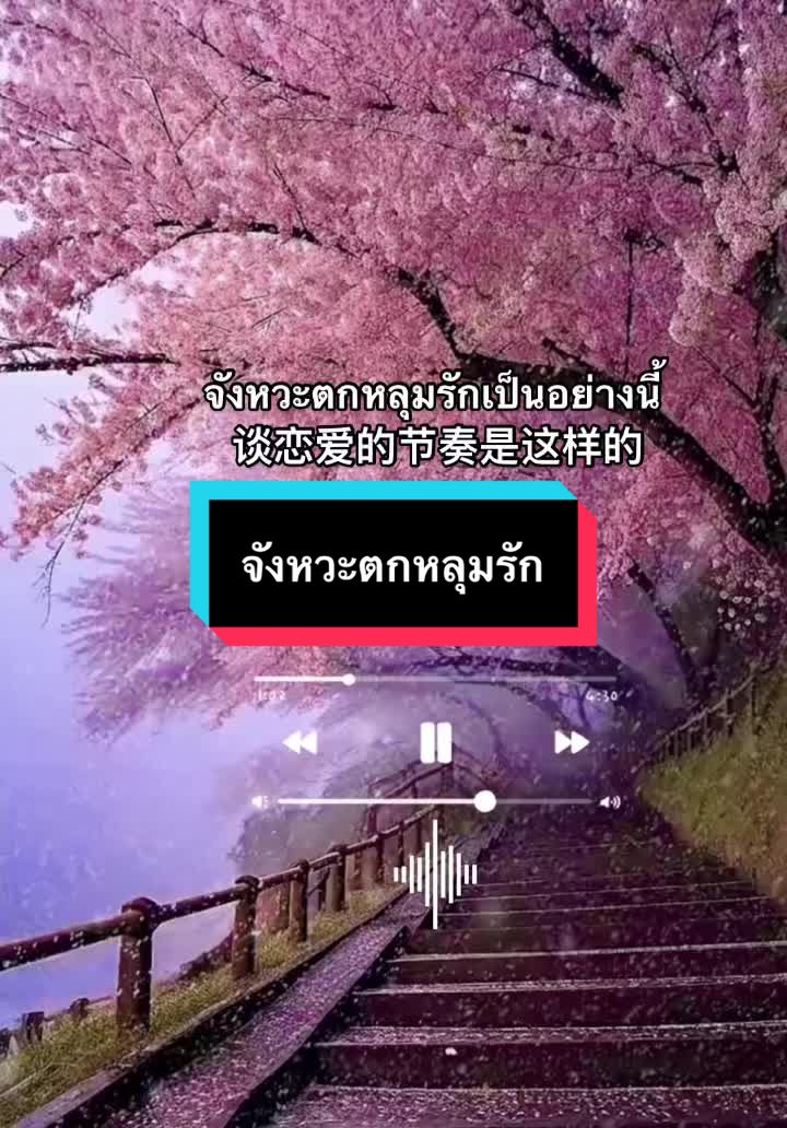 @An-An68