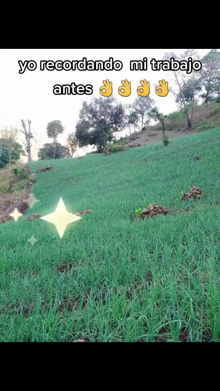 @deyvy