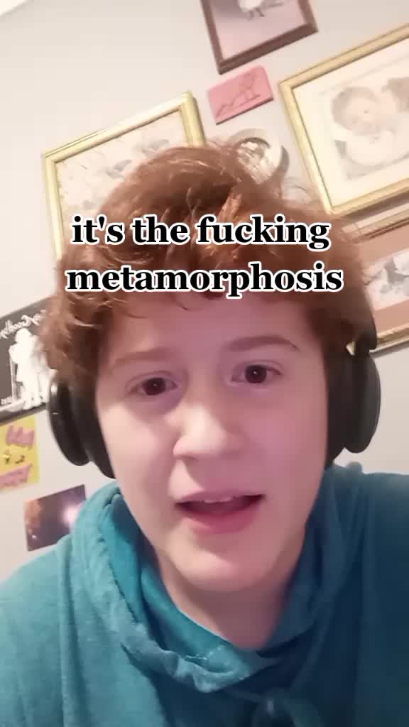 @levi