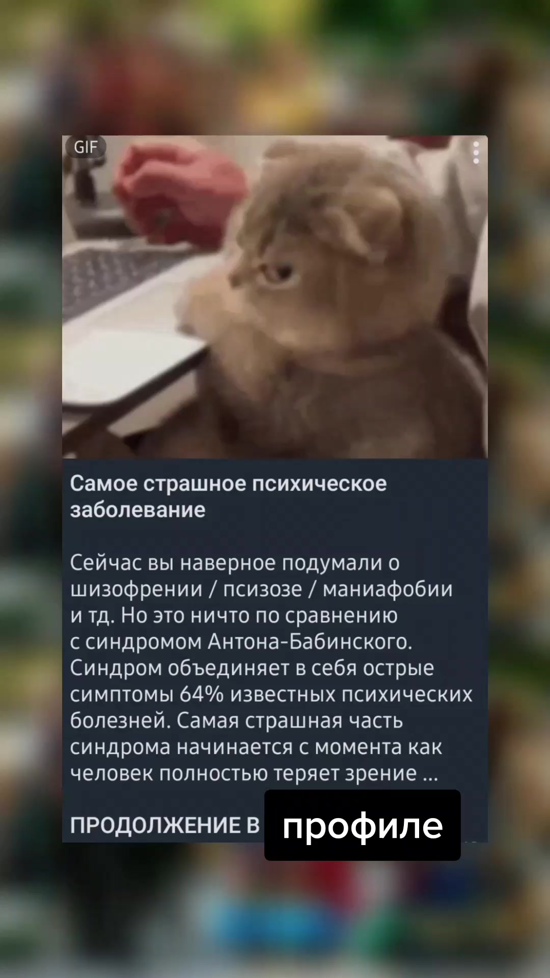 @вордлииииии