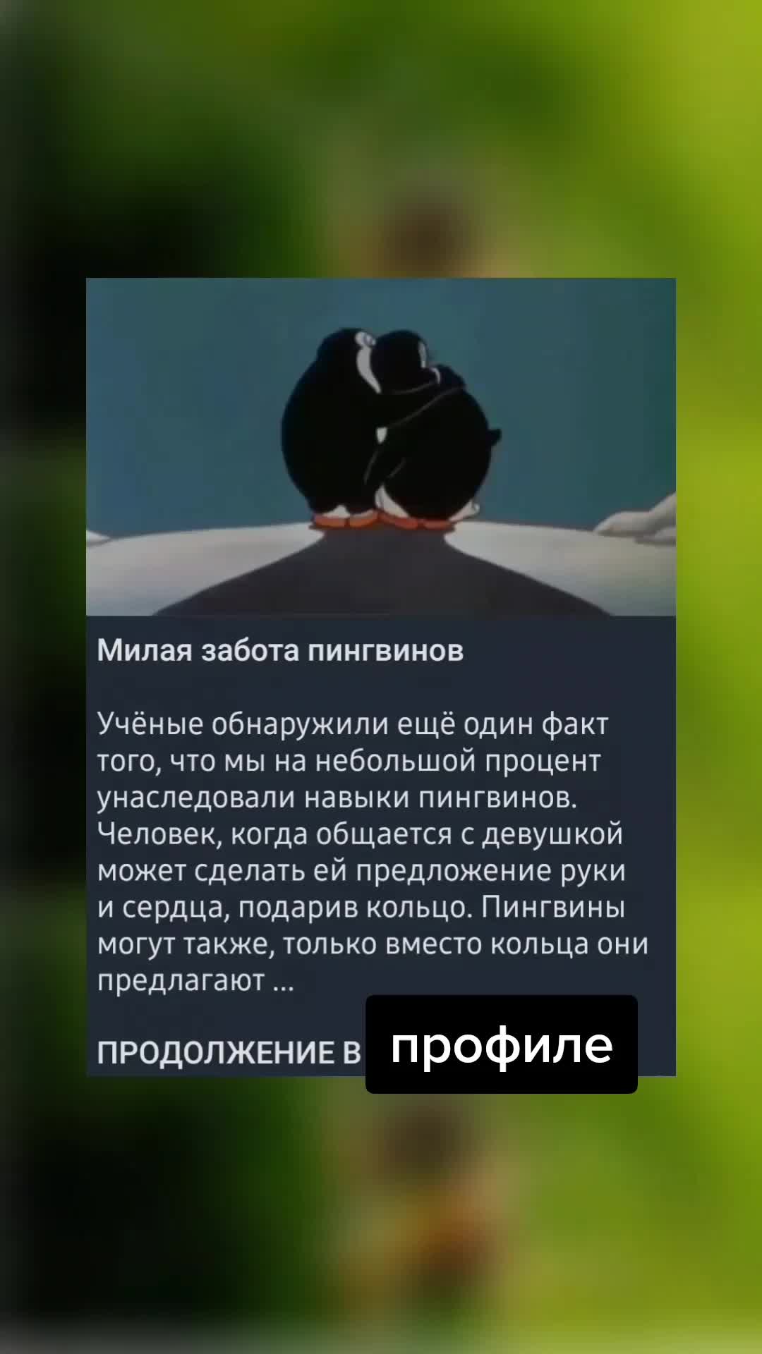 @вордлииииии