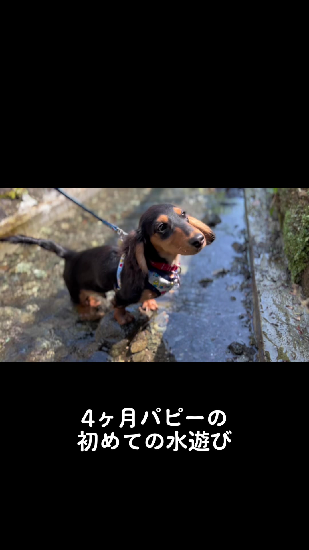 @れな