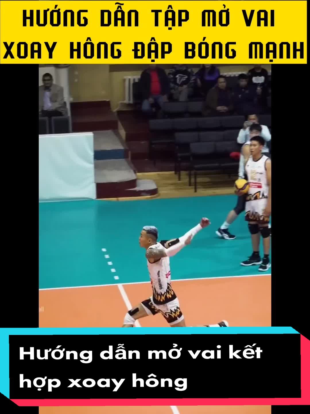 @Đam m&ecirc; B&oacute;ng chuyền