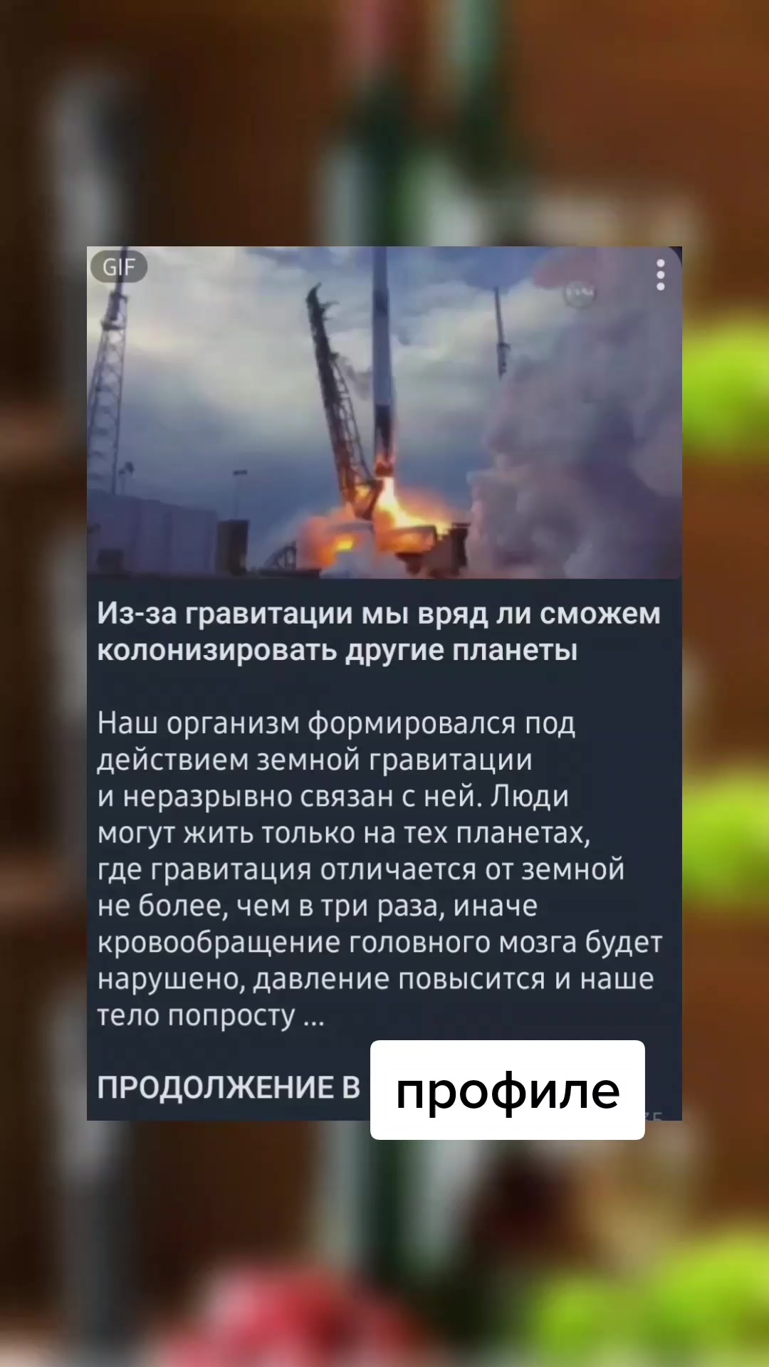 @вордлииииии