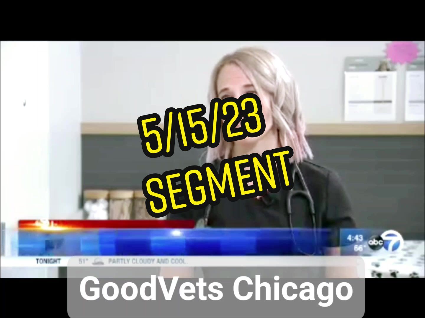 @GoodVets Chicago VA 😉🩺🐾
