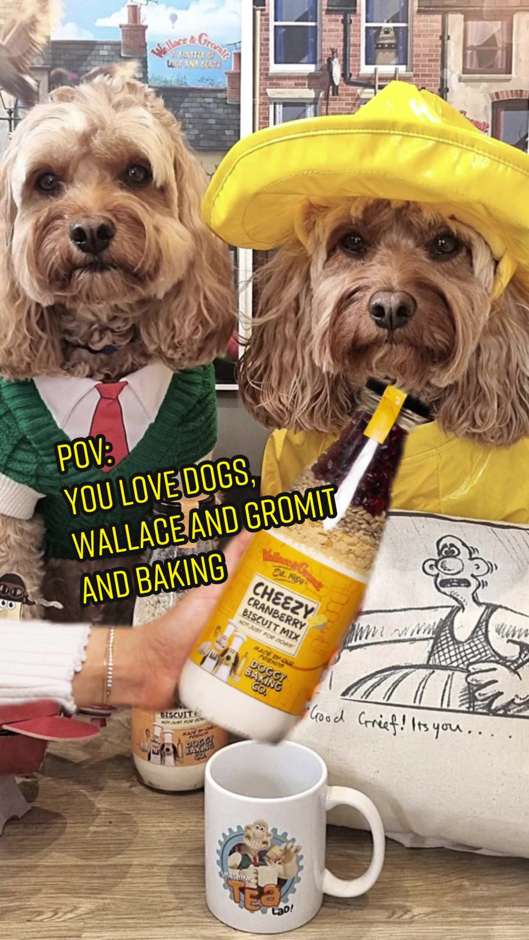@The Doggy Baking Co
