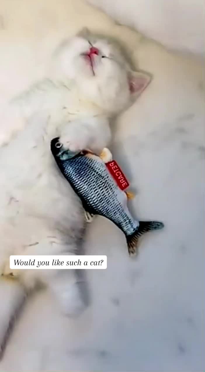 @Cute_babys