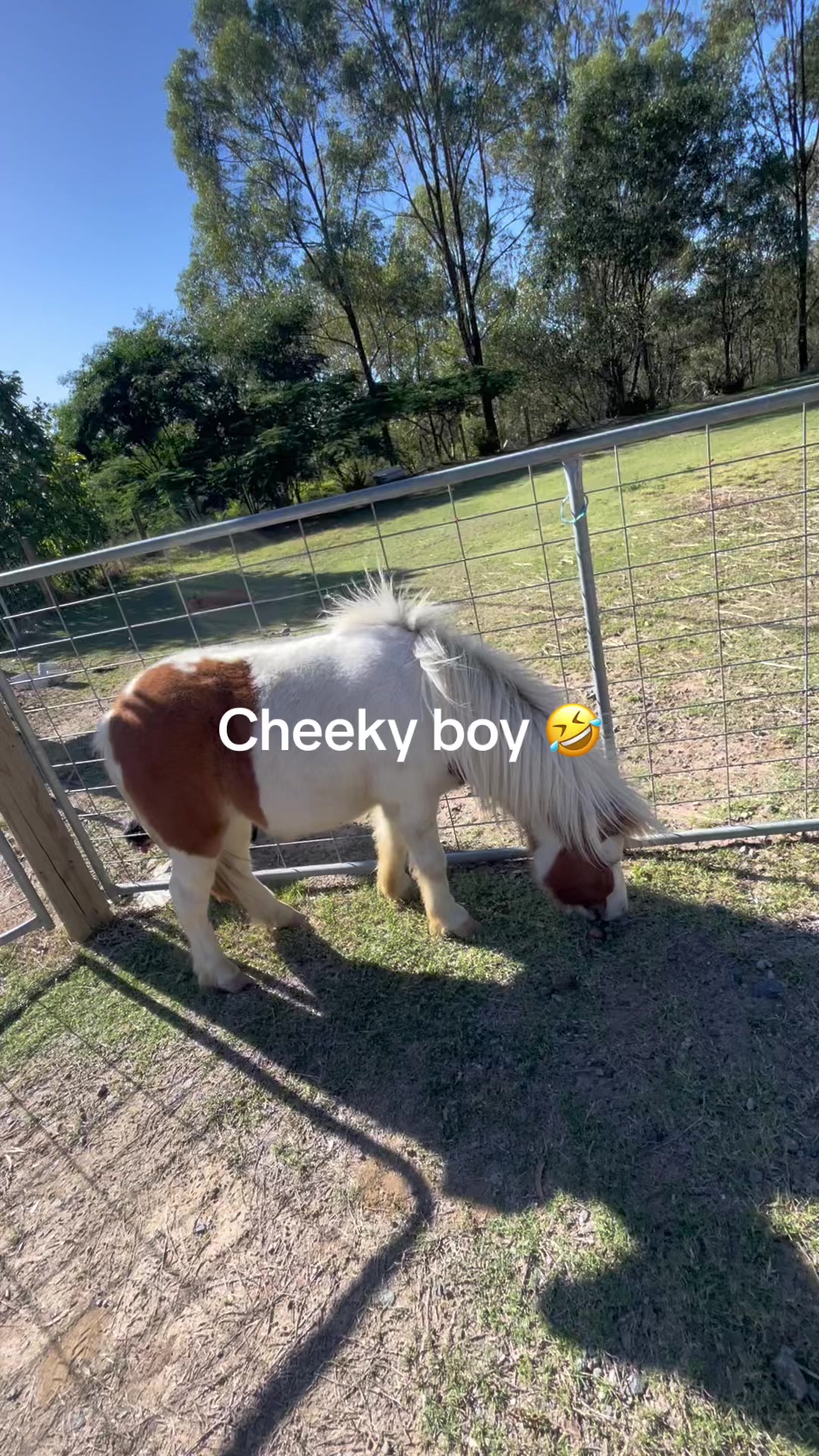@🇦🇺🇦🇺🇦🇺🇦🇺🇦🇺✝️✝️✝️✝️✝️