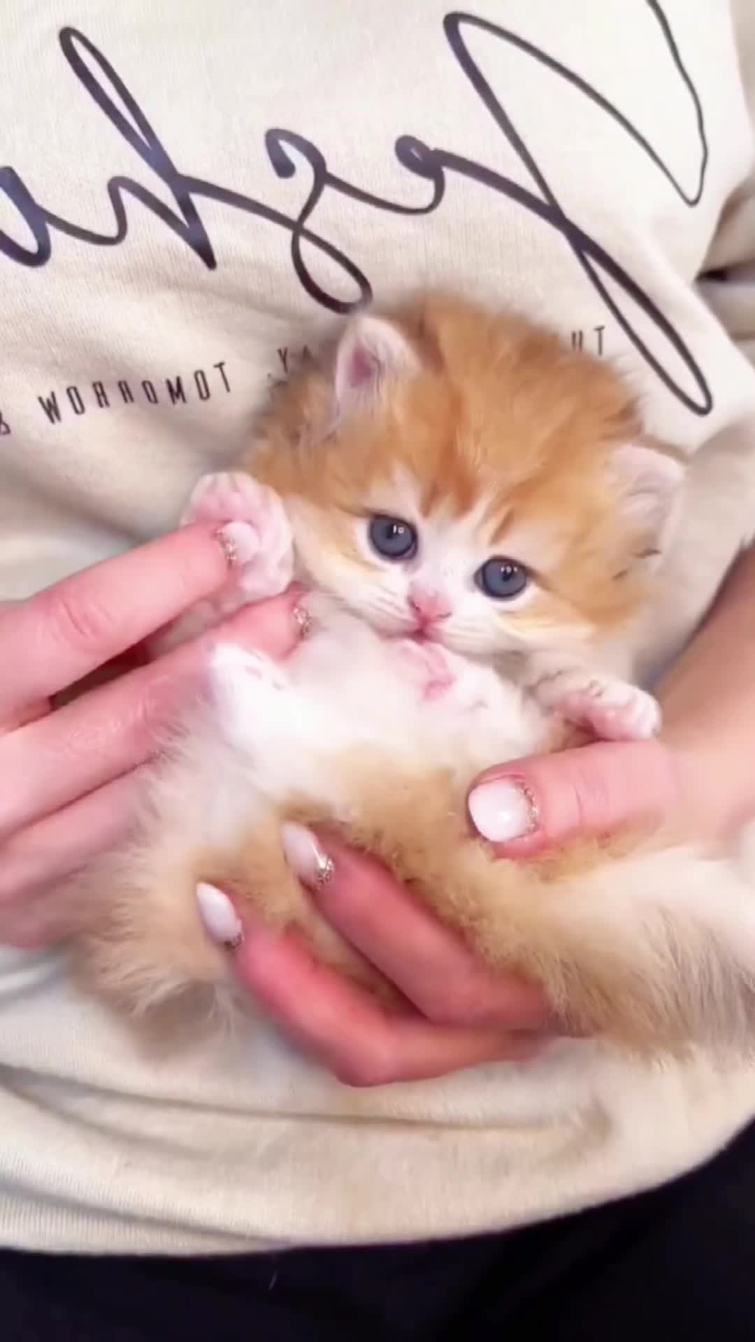 @Cute_babys