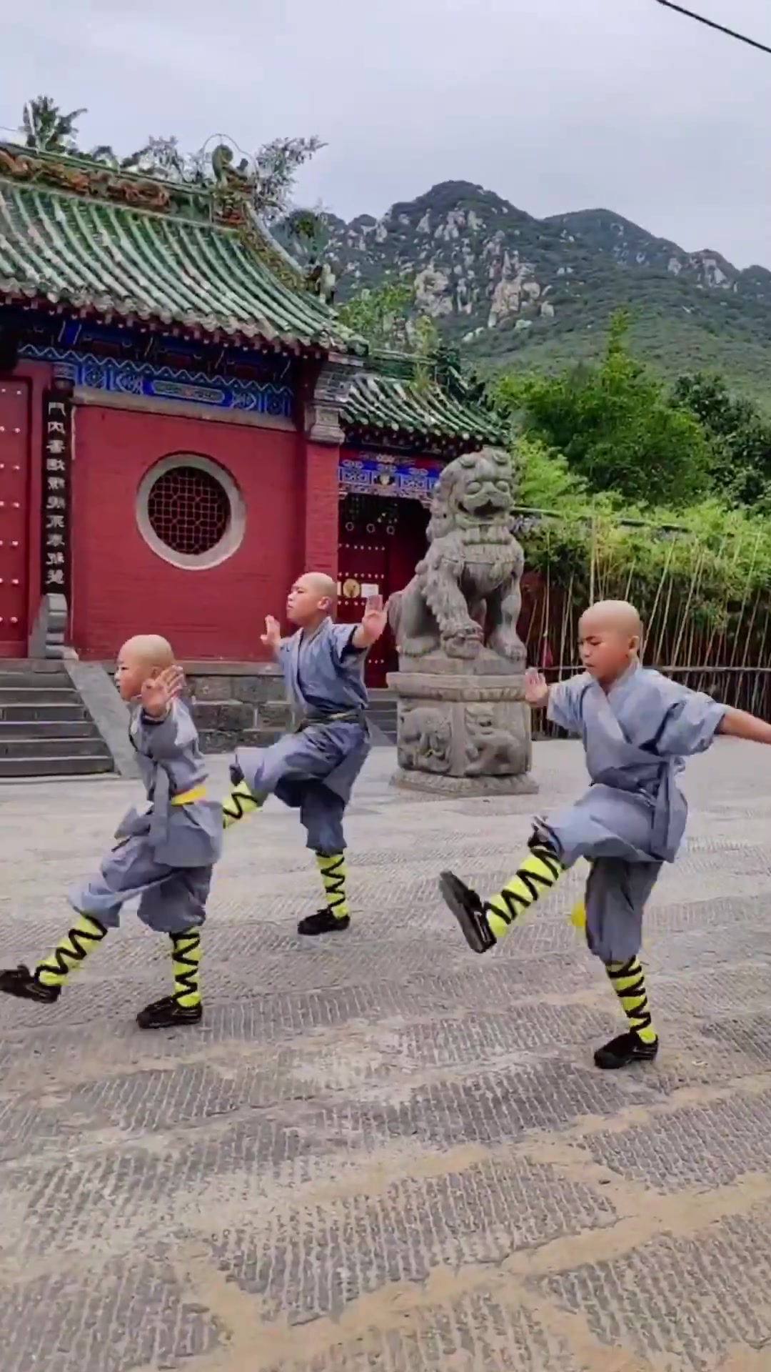 @Chinese shao Lin kungfu