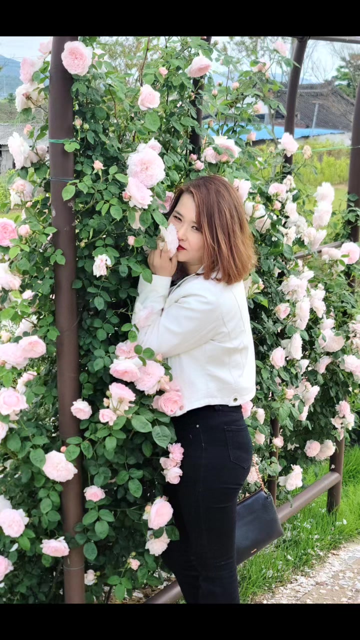 @송(봄이🐩)