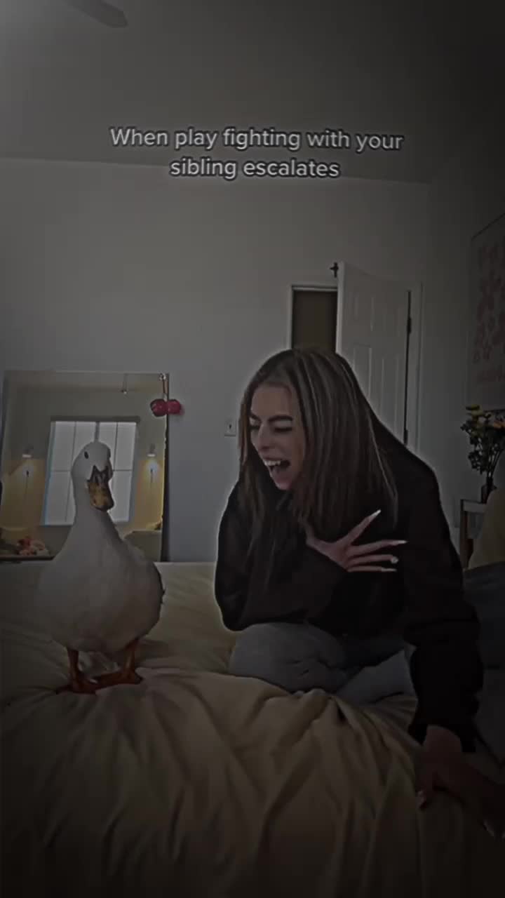 @Stevz08