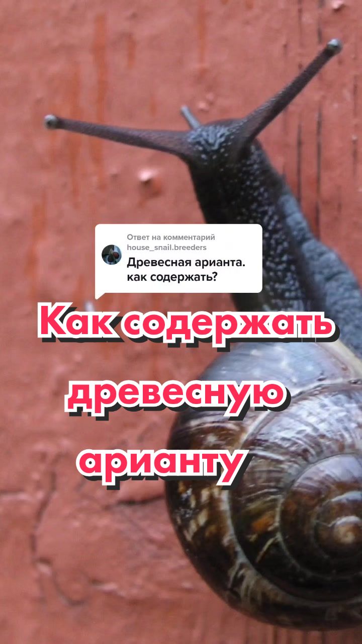 @🐌Яся Ясень🐌