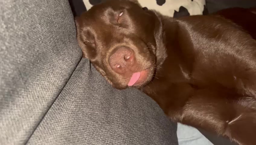@⭐️TheFamilyL⭐️✅