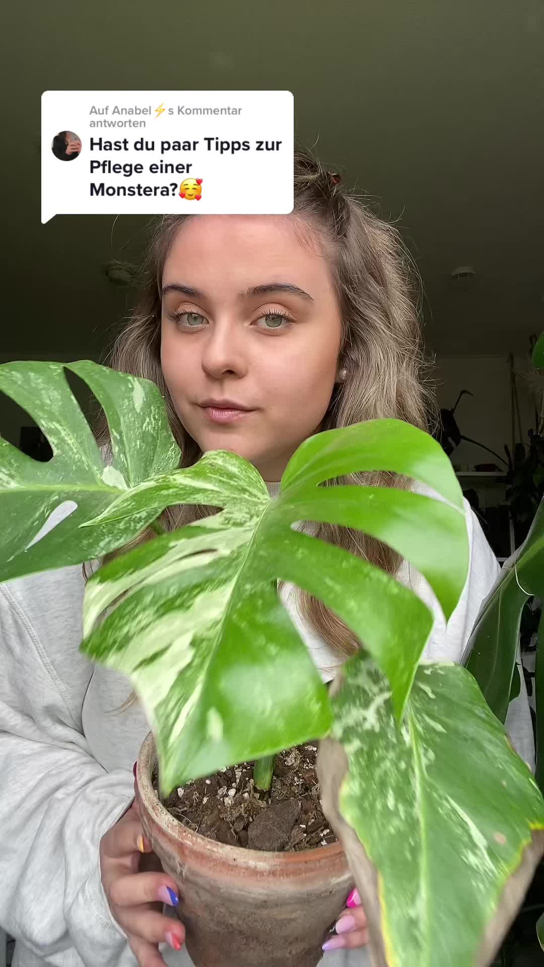 @pflanzdirwas 🌻🪴