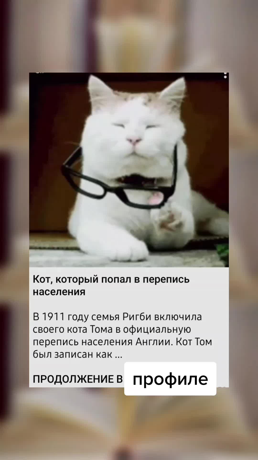 @вордлииииии