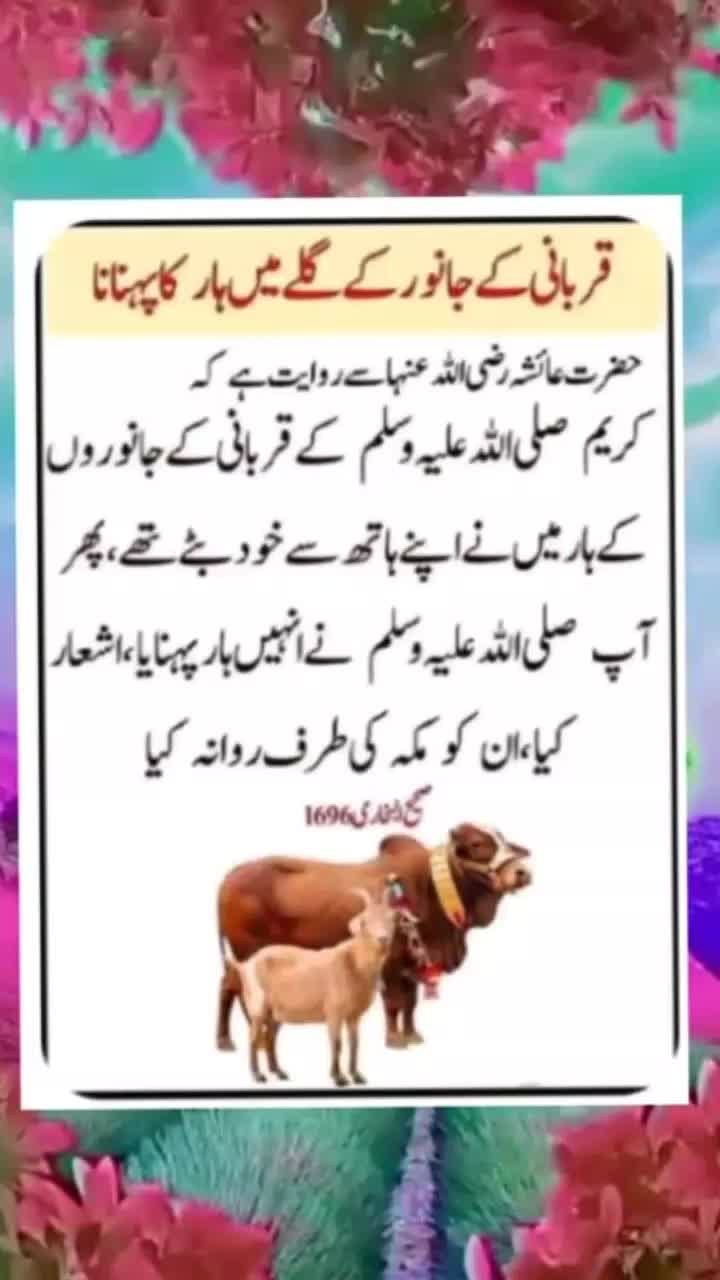 @محمد ارسلان راجپوت چوہان