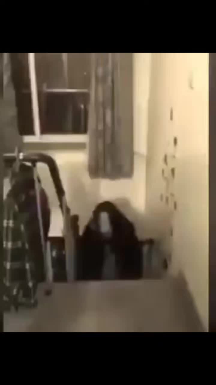@geekadas