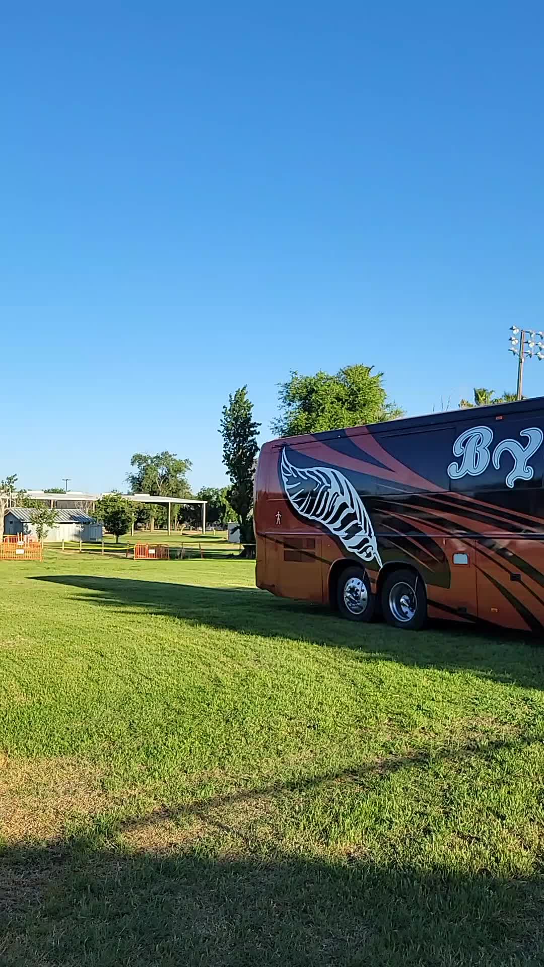 @capital jaripeo colusa