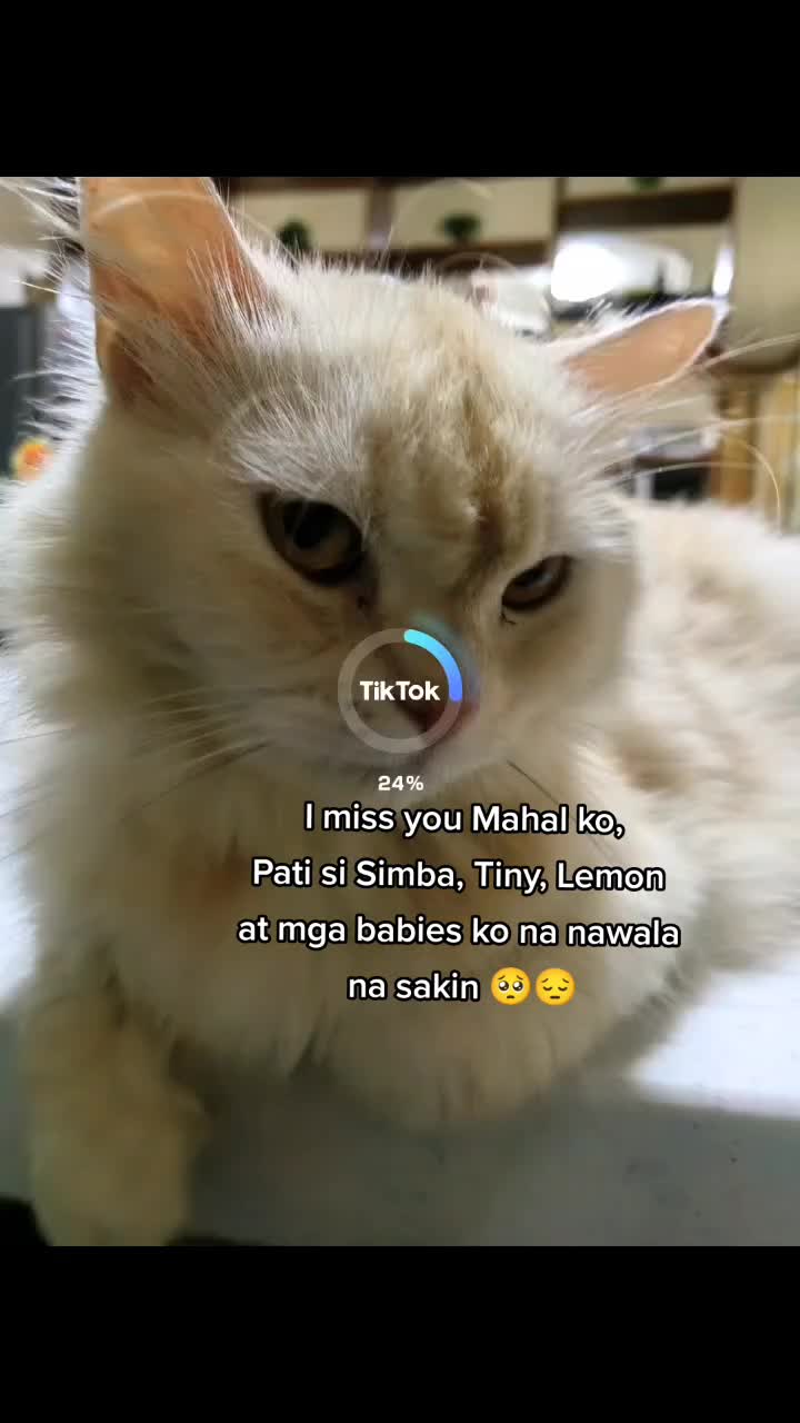 @🍀Khai🍀