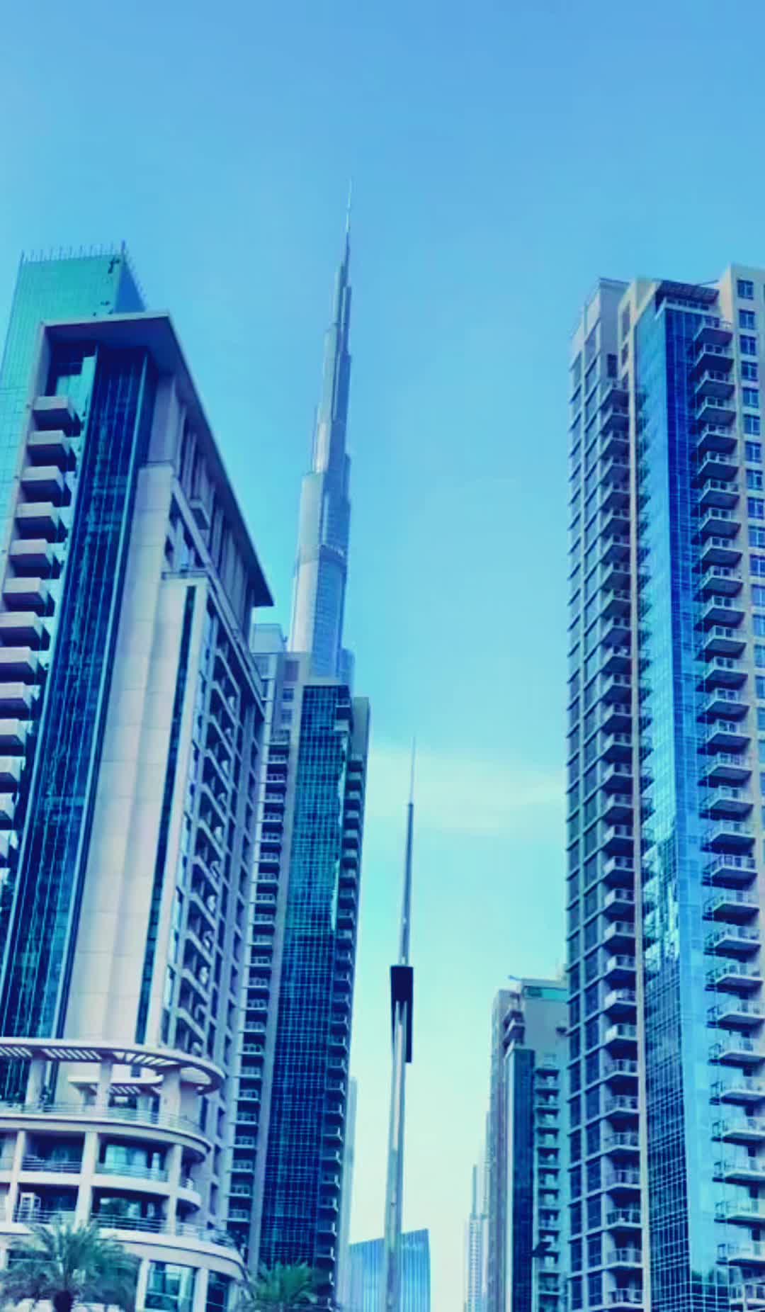 @Aesthetic Dubai ✨🇦🇪