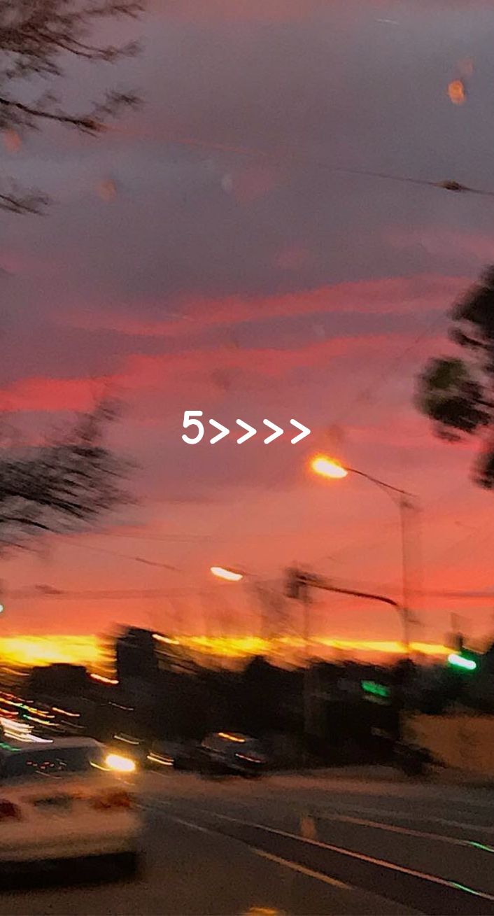 @🦖