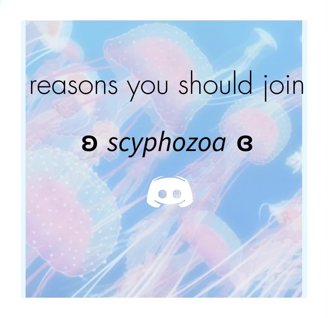 @ʚ 𝘴𝘤𝘺𝘱𝘩𝘰𝘻𝘰𝘢 ɞ